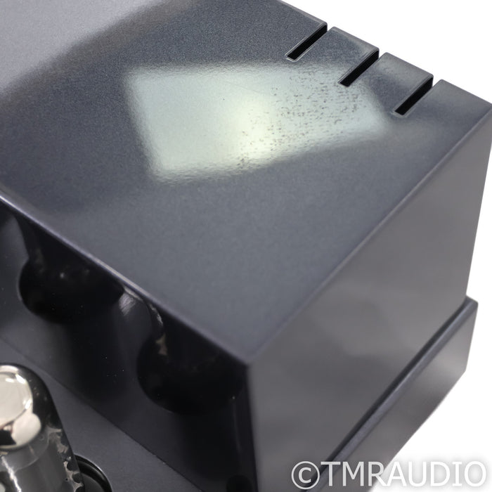 PrimaLuna EVO 400 Stereo Tube Power Amplifier
