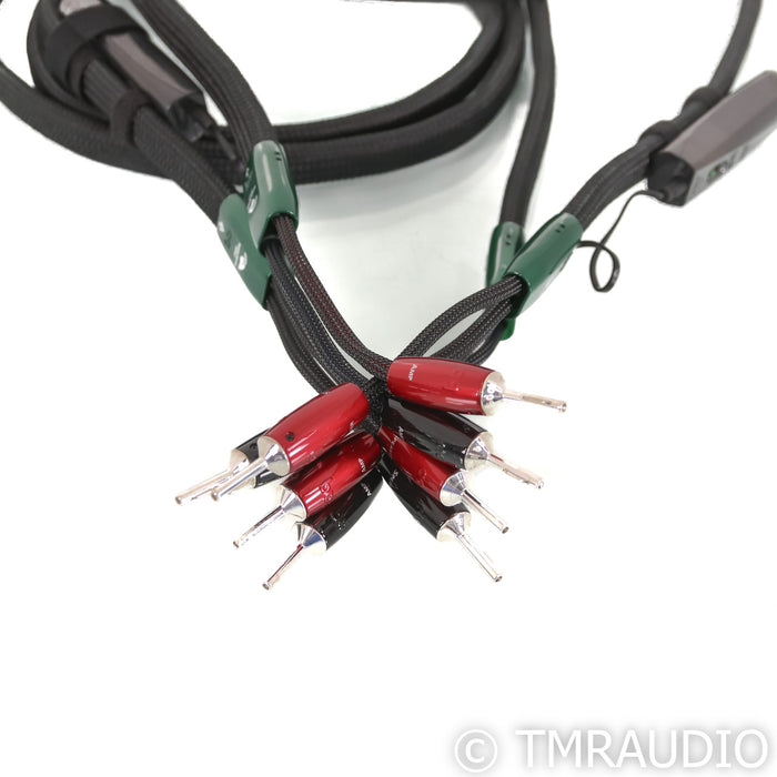 AudioQuest Robin Hood ZERO Speaker Cables; 2.5m Pair; 72v DBS