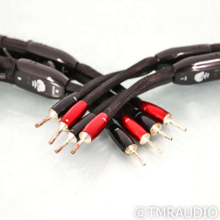 AudioQuest Oak Speaker Cables; 10ft Pair; 72v DBS