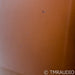 Wilson Audio Yvette S1 Floorstanding Speakers; Ipanema Brown Pair