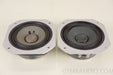 Pioneer HPM-100 Replacement Midrange Driver Pair