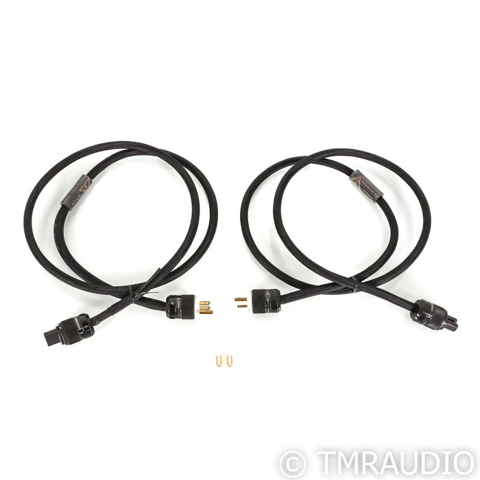 Aragon Iridium Mono Power Amplifiers; Silver Pair