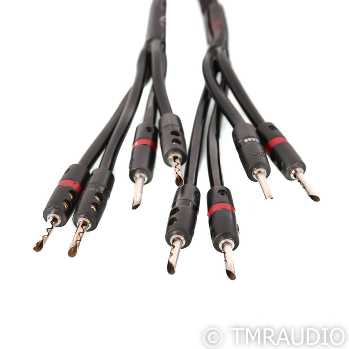 AudioQuest Rocket 33 Bi-Wire Speaker Cables; 3m Banana Pair
