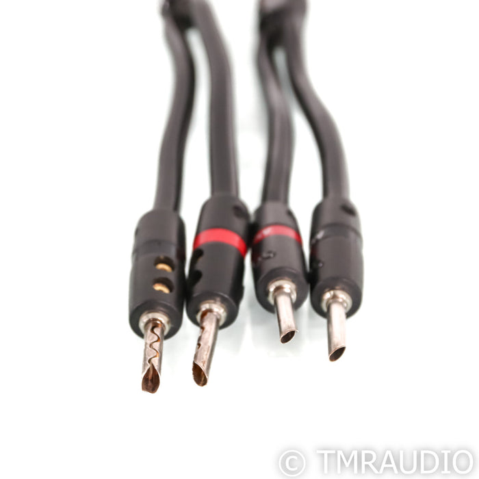 AudioQuest Rocket 33 Bi-Wire Speaker Cables; 3m Banana Pair