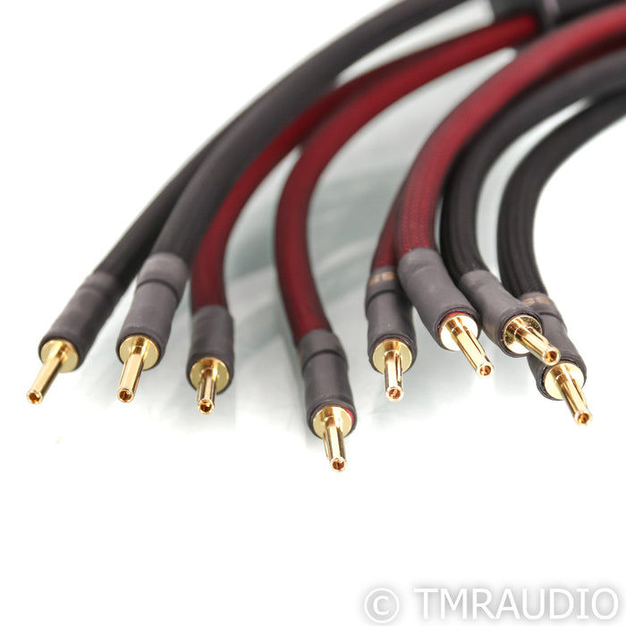 Transparent Audio Super Bi-Wire Speaker Cables; 10ft pair