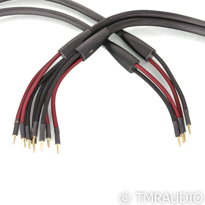 Transparent Audio Super Bi-Wire Speaker Cables; 10ft pair