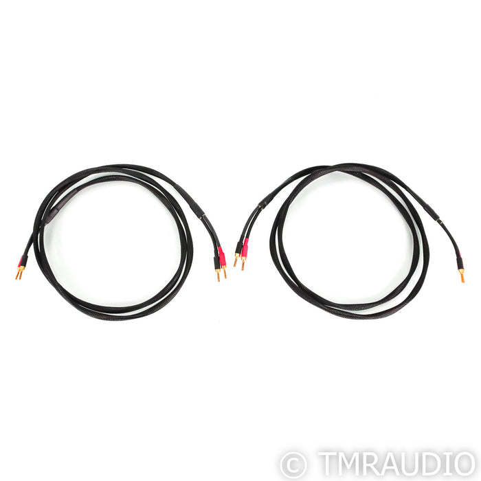 Coincident Speaker Technology CST Xtreme Speaker Cable; 2.5m Pair