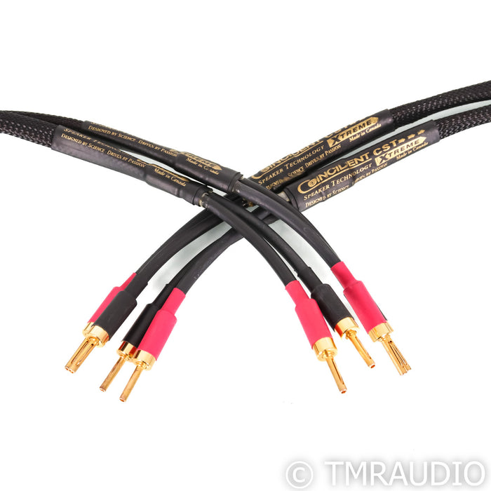 Coincident Speaker Technology CST Xtreme Speaker Cable; 2.5m Pair