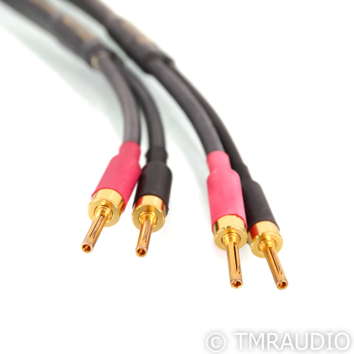 Coincident Speaker Technology CST Xtreme Speaker Cable; 2.5m Pair