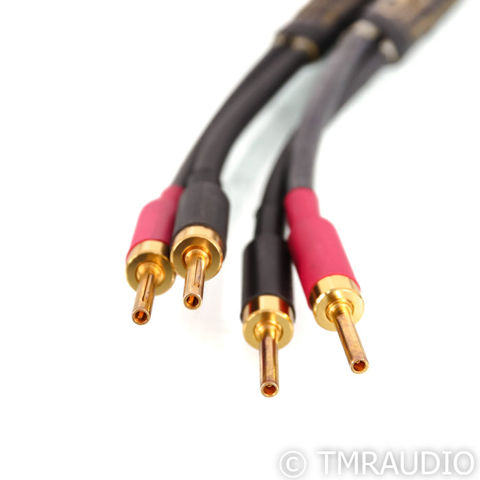 Coincident Speaker Technology CST Xtreme Speaker Cable; 2.5m Pair