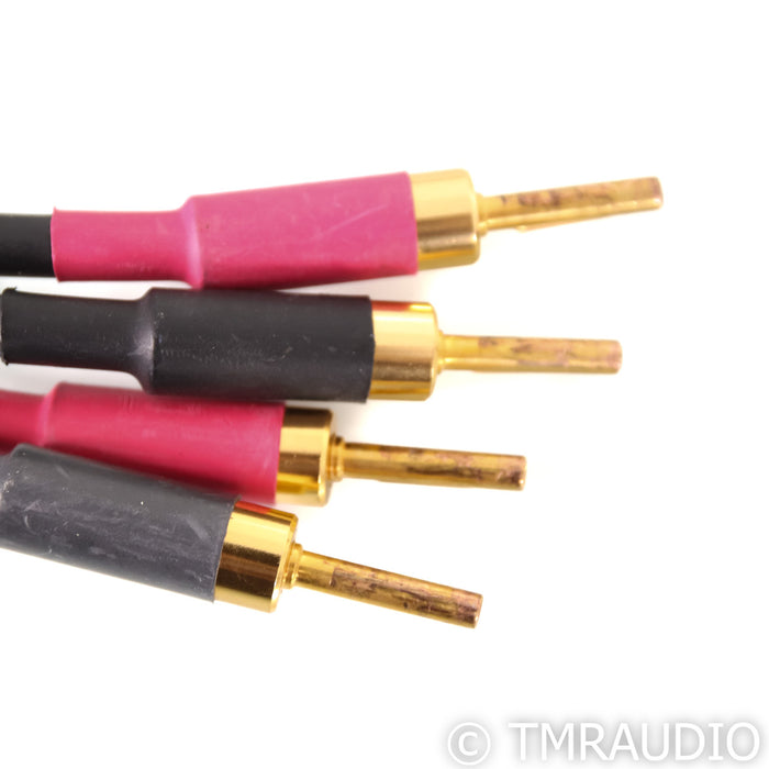 Coincident Speaker Technology CST Xtreme Speaker Cable; 2.5m Pair