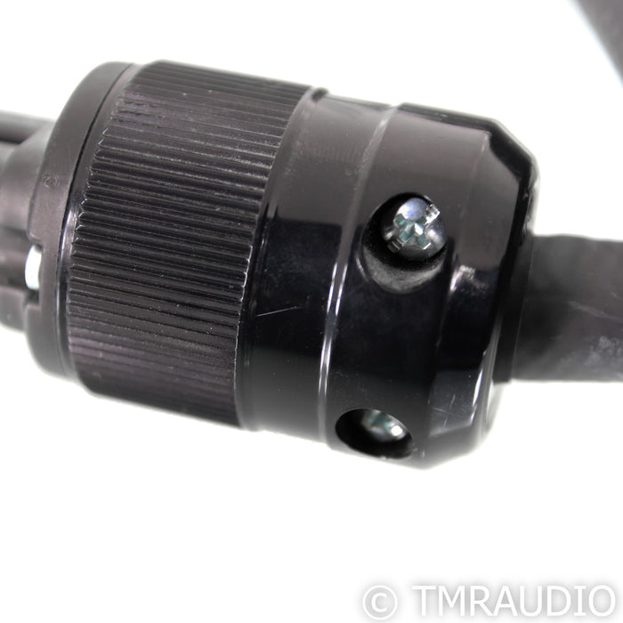 Audience PowerChord Power Cable; 12ft AC Cord