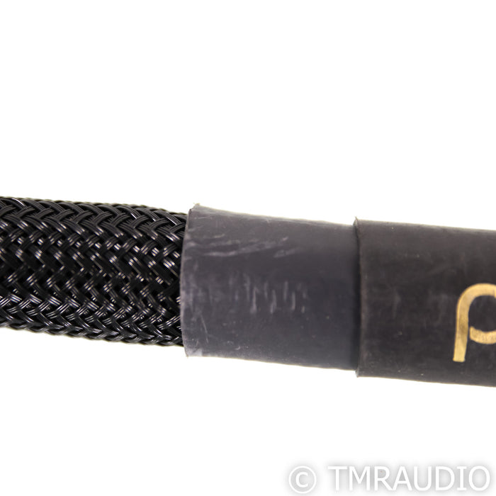 Audience PowerChord Power Cable; 4ft AC Cord