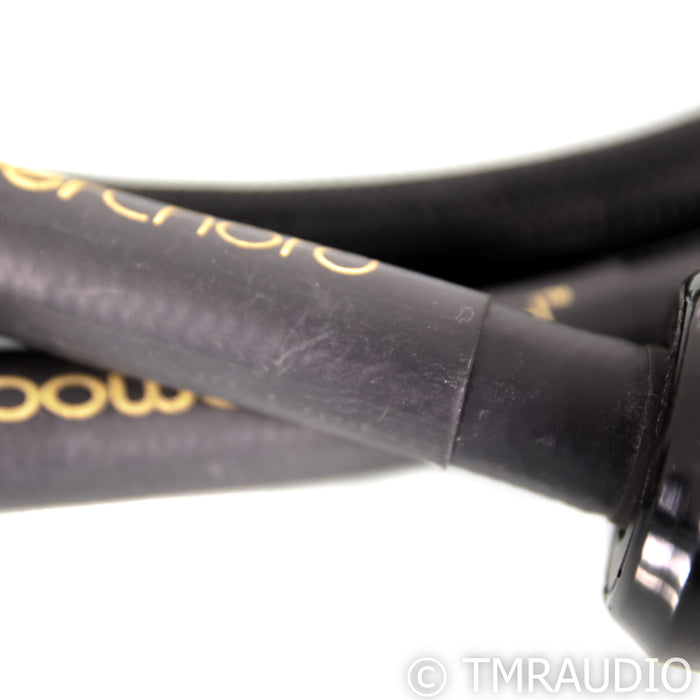 Audience PowerChord Power Cable; 5.5ft AC Cord
