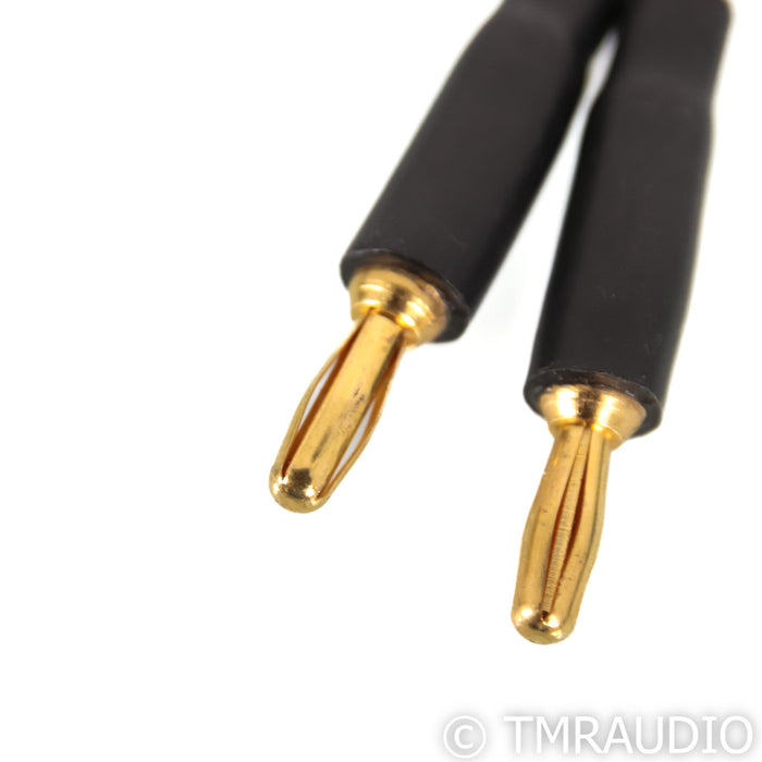 Audience Au24 Speaker Cables; 5m Pair