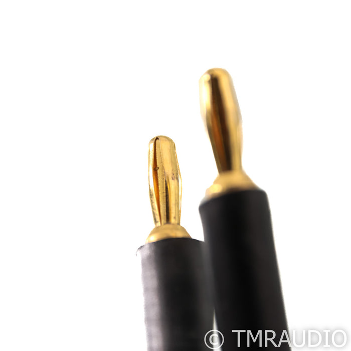 Audience Au24 Speaker Cables; 5m Pair