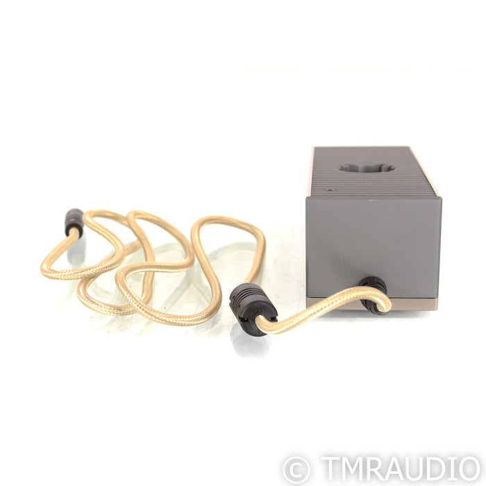 iFi Pro iCAN Signature Tube Headphone Amplifier; Silver