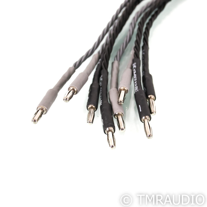 Kimber Kable 8VS Bi-Wire Speaker Cables; 10ft Pair
