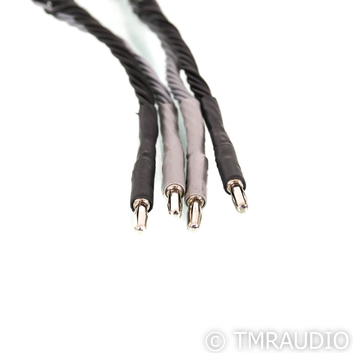 Kimber Kable 8VS Bi-Wire Speaker Cables; 10ft Pair
