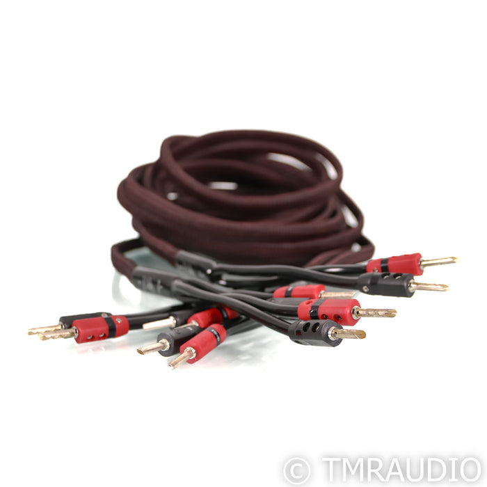 AudioQuest Rocket 33 Bi-Wire Speaker Cables; 15ft Pair
