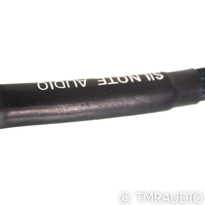 Silnote Poseidon GL Power Cable; 1m AC Cord