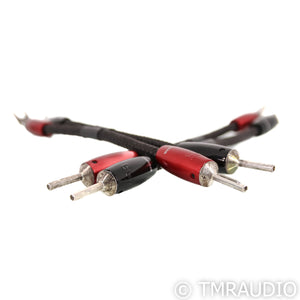 AudioQuest Saturn Bi-Wire Speaker Jumper Cables; Silver (Set of Four)