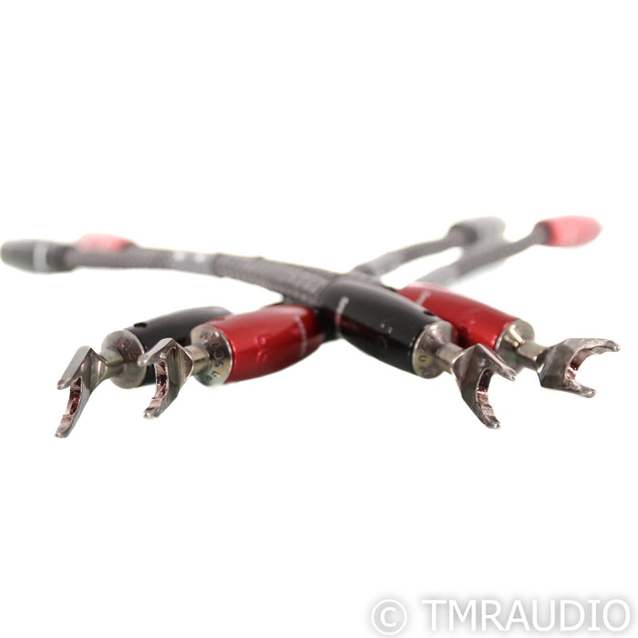 AudioQuest Saturn Bi-Wire Speaker Jumper Cables; Silver (Set of Four)
