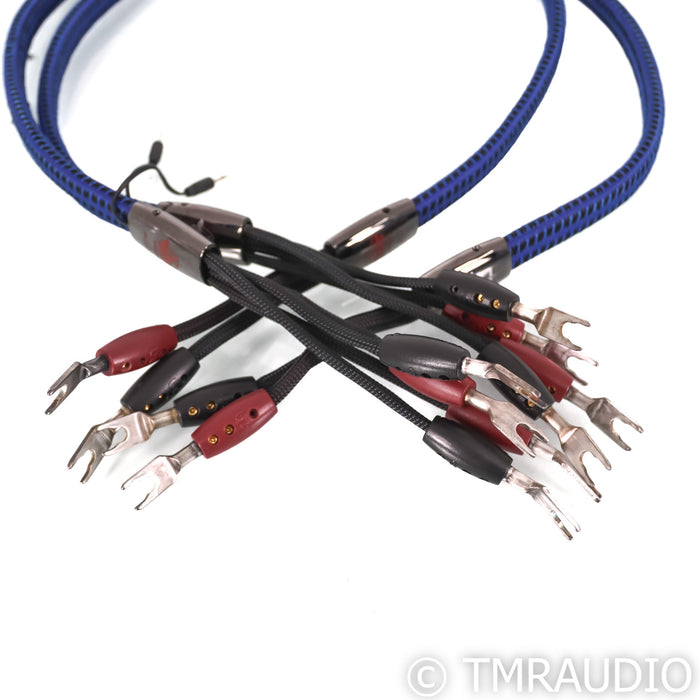 AudioQuest Gibraltar Bi-Wire Speaker Cables; 1m Pair
