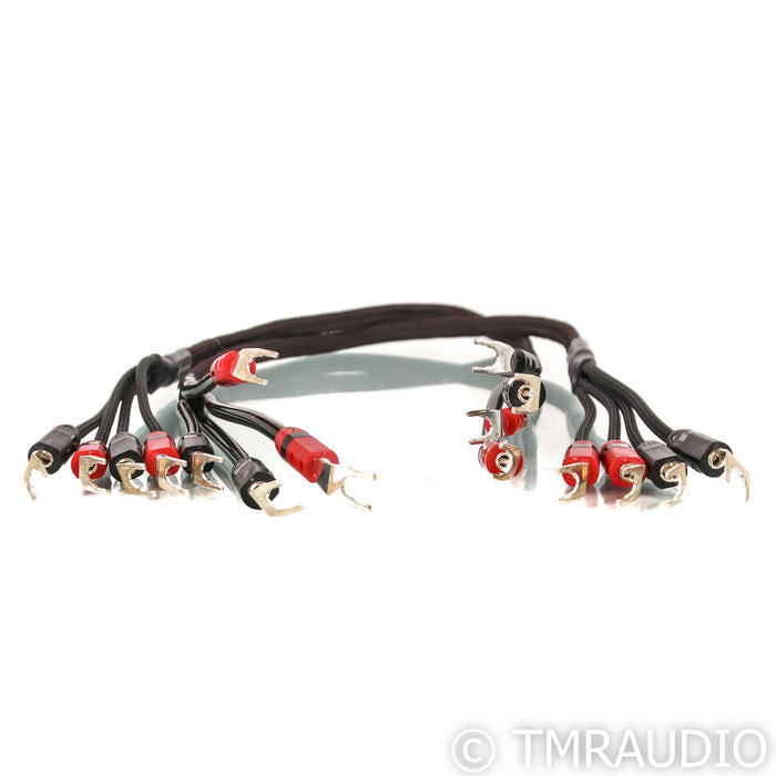AudioQuest Rocket 33 Double Bi-Wire Speaker Cables; 3ft Pair; Bi-Amp