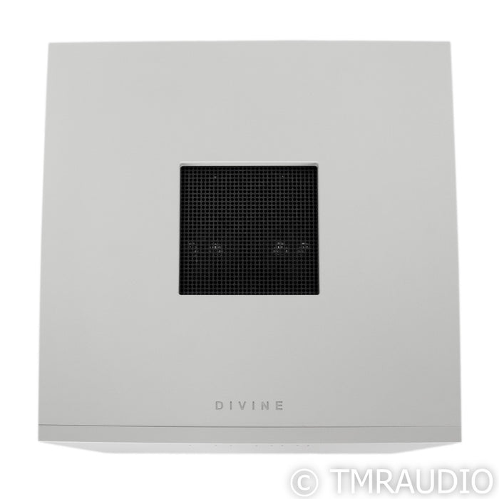 Pilium Achilles Stereo Power Amplifier; Dual Mono