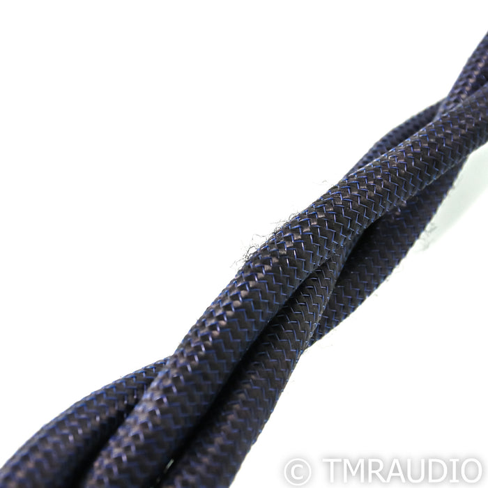 AudioQuest Hurricane High Variable Current Power Cable; 1m AC Cord; 20 Amp