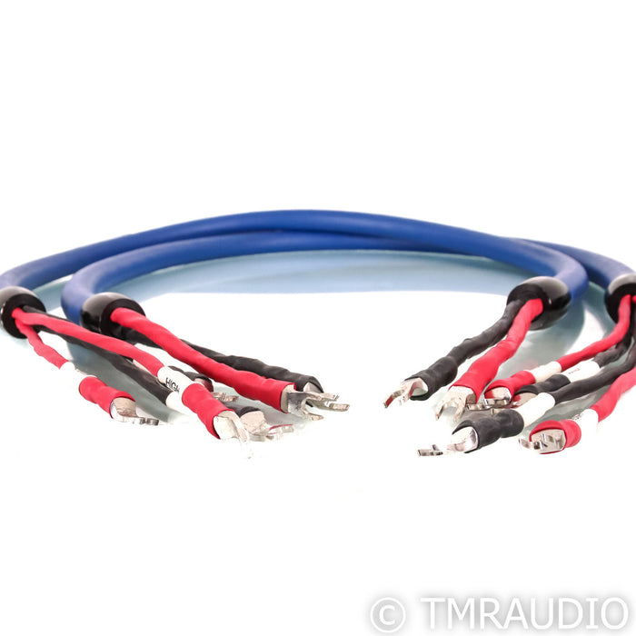 Cardas Clear Beyond Bi-Wire Speaker Cables; 1.5m Pair