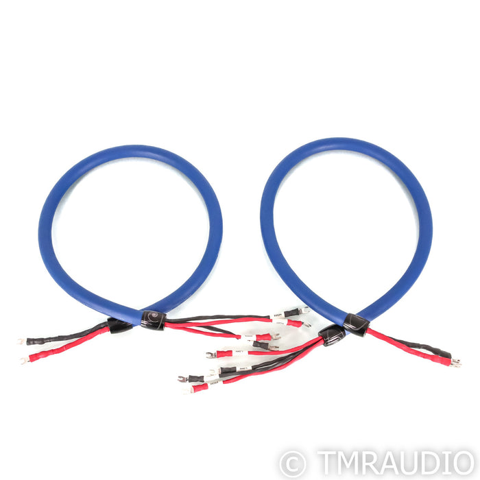 Cardas Clear Beyond Bi-Wire Speaker Cables; 1.5m Pair