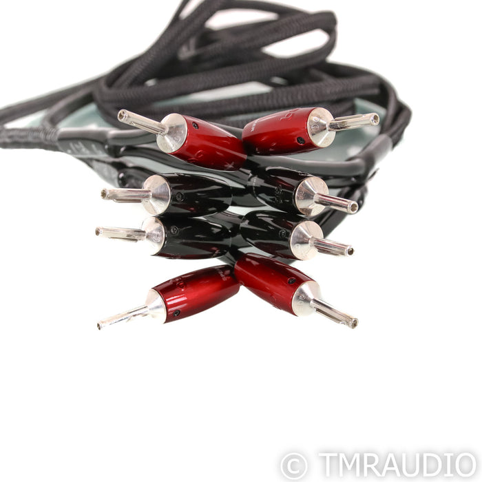 AudioQuest Rocket 44 Speaker Cables; 10ft Pair