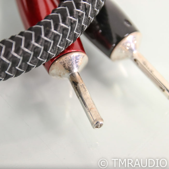 AudioQuest Rocket 44 Speaker Cables; 10ft Pair