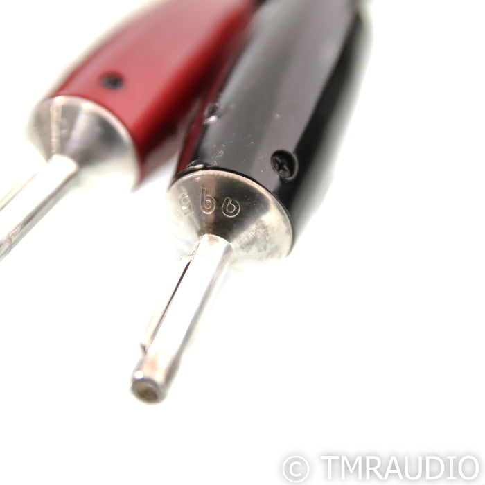 AudioQuest Rocket 44 Speaker Cables; 10ft Pair