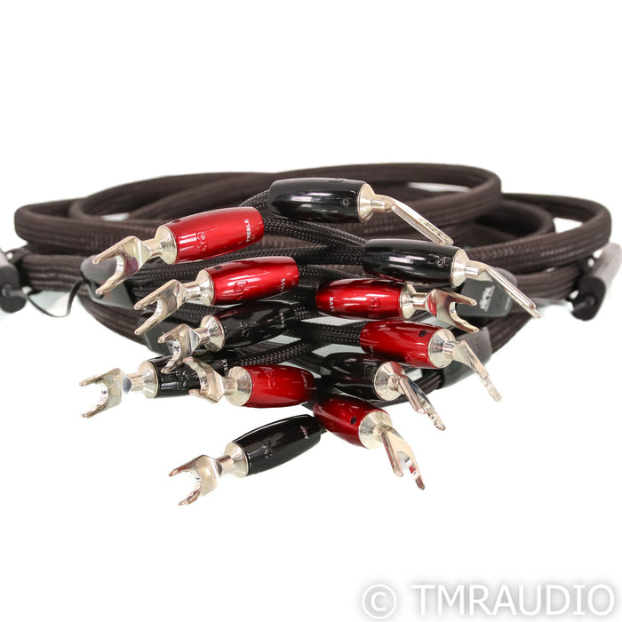 AudioQuest Castle Rock Bi-Wire Speaker Cables; 10ft Pair; 72v DBS