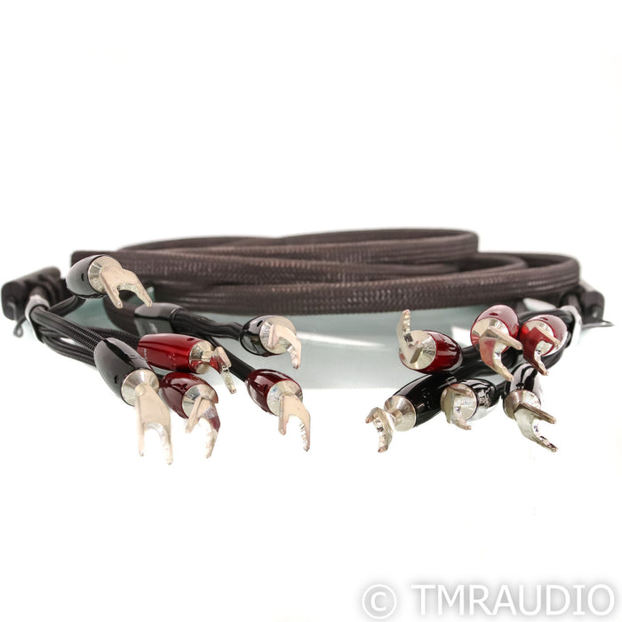 AudioQuest Castle Rock Bi-Wire Speaker Cables; 10ft Pair; 72v DBS