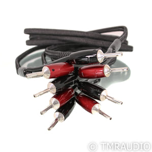 AudioQuest Rocket 44 Speaker Cables; 10ft Pair
