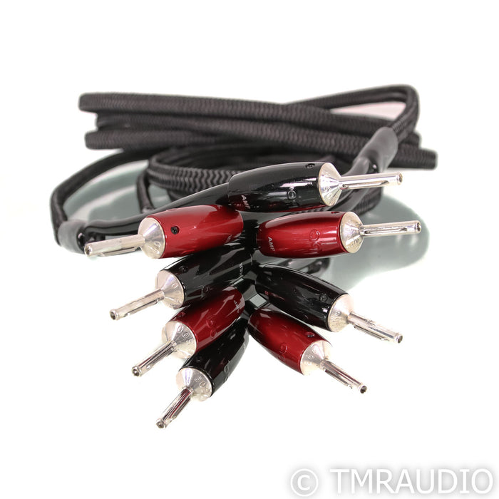 AudioQuest Rocket 44 Speaker Cables; 10ft Pair
