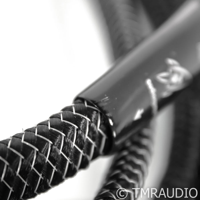 AudioQuest Rocket 44 Speaker Cables; 10ft Pair