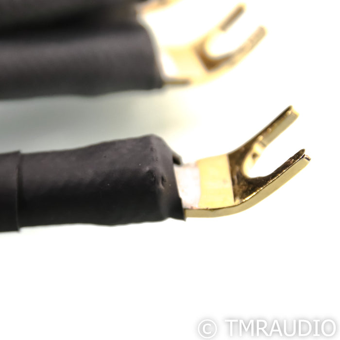 Transparent Audio Ultra Bi-Wire Speaker Cables; G5; 20ft Pair