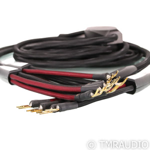 Transparent Audio Ultra Bi-Wire Speaker Cables; G5; 20ft Pair