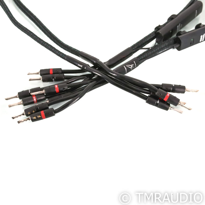AudioQuest Rocket 88 Speaker Cables; 3m Bi-Wire Interconnects