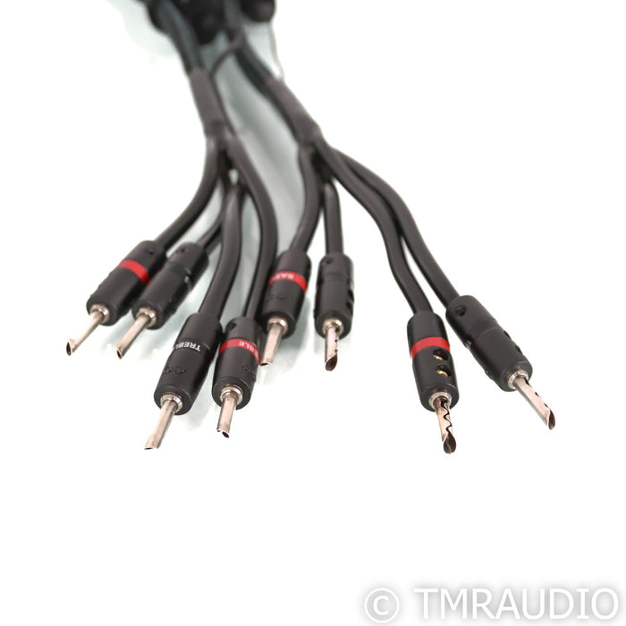 AudioQuest Rocket 88 Speaker Cables; 3m Bi-Wire Interconnects