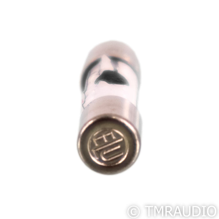Synergistic Research Orange Slo-Blow Fuse; 10A 250V
