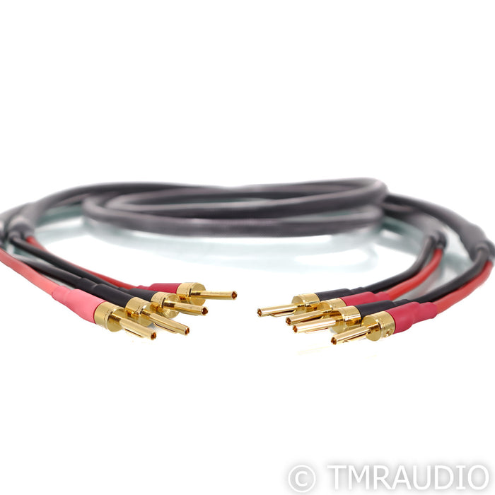 Shunyata Research Venom Speaker Cables; 2m Pair