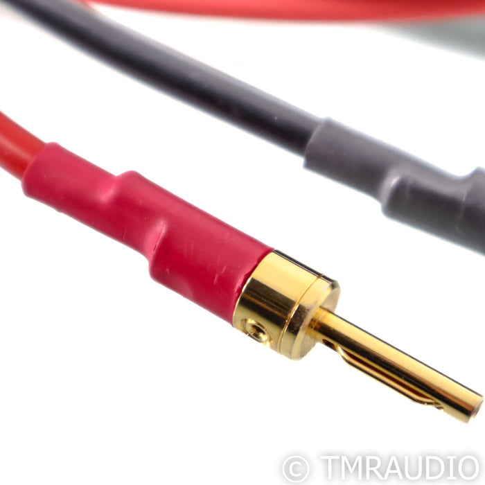 Shunyata Research Venom Speaker Cables; 2.5m Pair