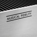 Musical Fidelity X-P200 Stereo Power Amplifier