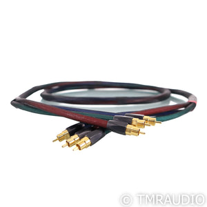 Transparent Reference Video RCA Cable; 10ft Single